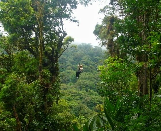 Nina zip-lining over the Monteverde Cloud Forest in Costa Rica in 2008, this planet's biodiverse Mecca.