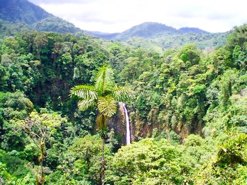 A view of the La Fortuna Waterfall from the top, with endless luscious green trees and forest all around and tree covered mountains in the distance.