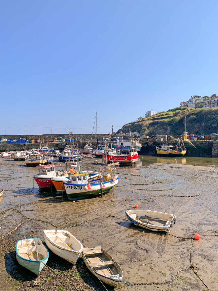 Fishing boats of all different colours and sizes litter the mud in Mevagissey harbour, waiting for the tide to return.