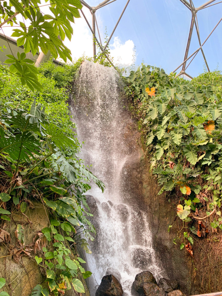 A waterfall falls between sub-tropical plants in the Eden Project.