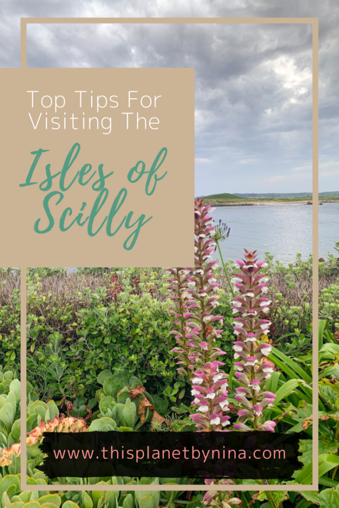 Pink flowers sprout from green shrubbery, overlooking two yachts moored on calm sea. Blog post - Top Tips for the Isles of Scilly.