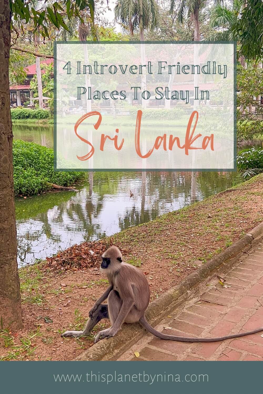 4 Introvert Friendly Places To Stay In Sri Lanka Pin