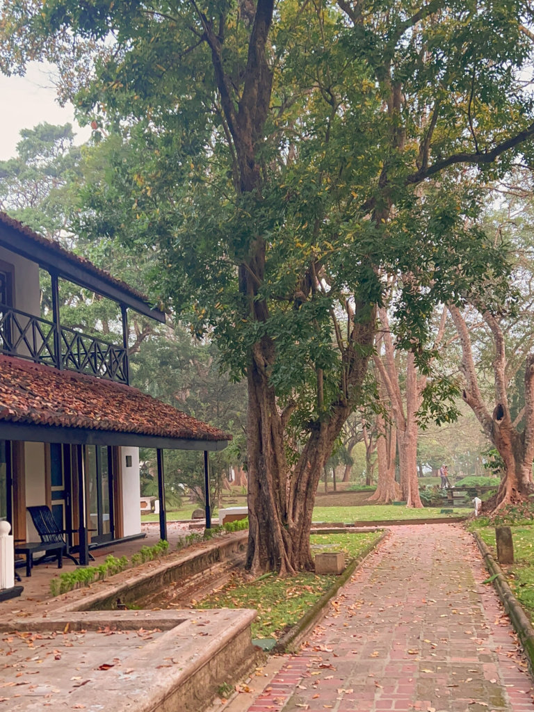 A pathway through the trees stretches out in front, with a building containing hotel rooms on the left at Cinnamon Lodge Habarana, one of the best introvert friendly places to stay in Sri Lanka.