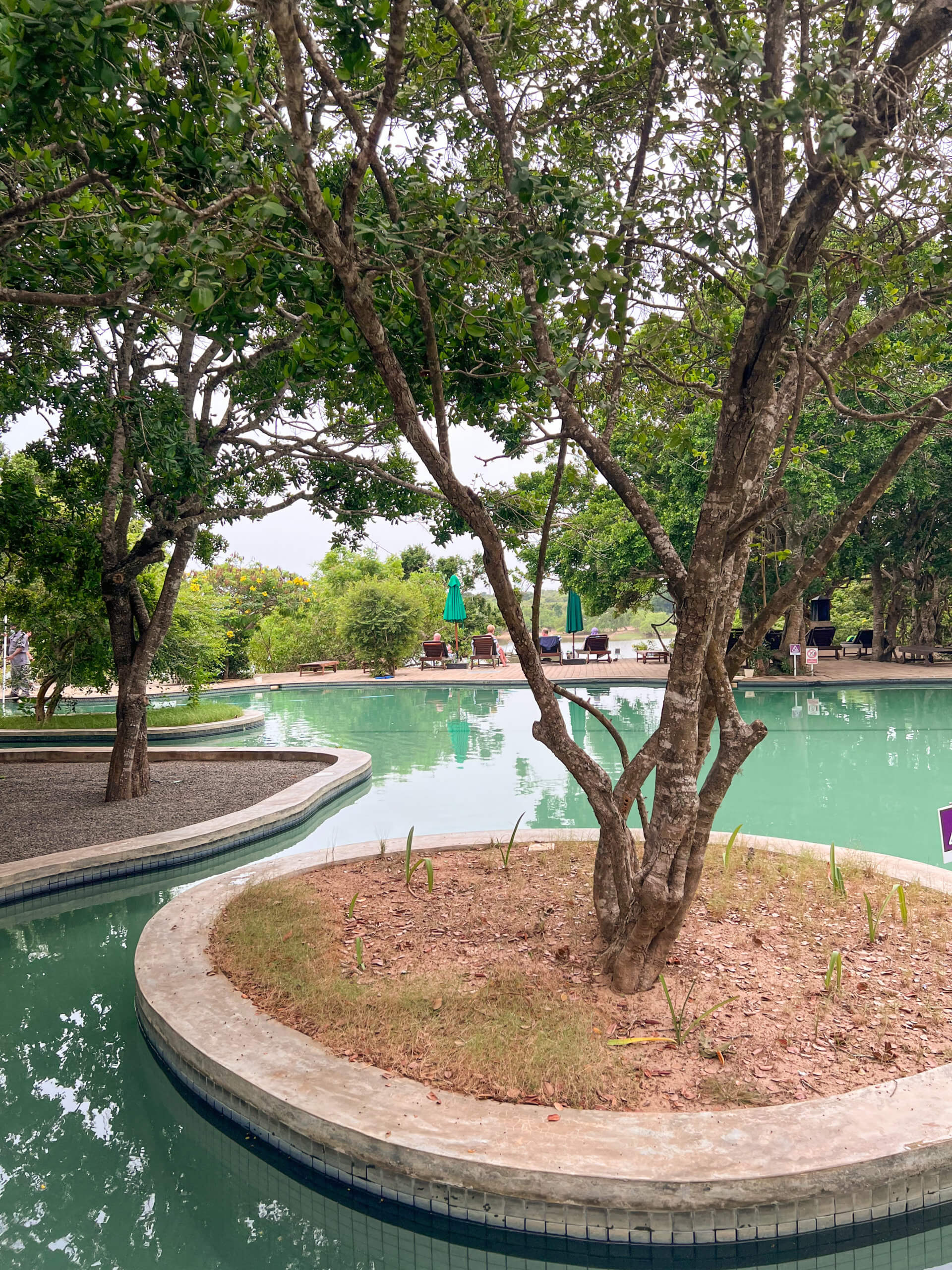 The pool at Cinnamon Wild Yala, one of the best introvert friendly places to stay in Sri Lanka.