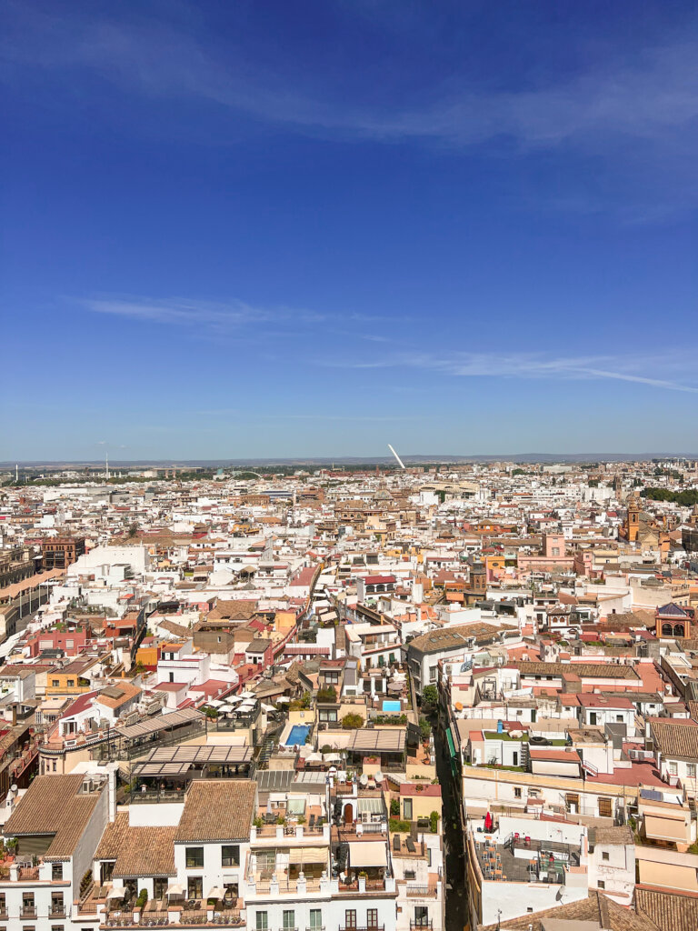 View across Seville's rooftops - 10 things to do in Seville